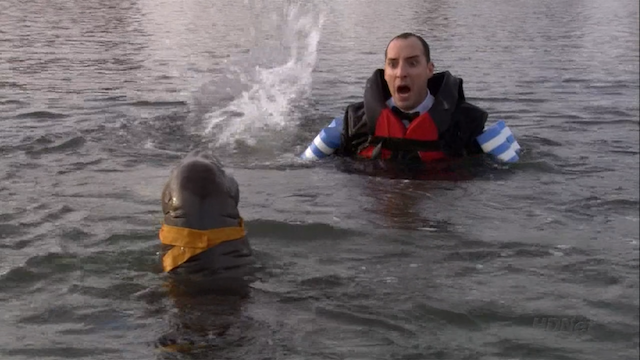 Photo from http://arresteddevelopment.wikia.com/wiki/Seal